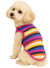 KUTKUT Rainbow Color Stripe Print Cotton Sleeveless T-Shirt for Small Dog Shish Tzu, Lhasa, Poodle, Maltipoo Clothes